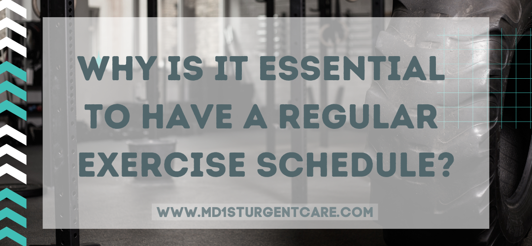 Why Is It Essential To Have A Regular Exercise Schedule?